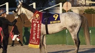 【東京大賞典】安田翔師「恐らくこれが最後のレース」オメガパフュームが4連覇達成