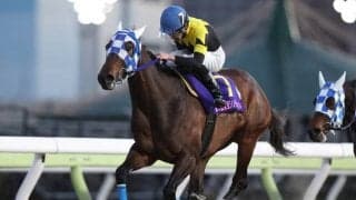 【大井・東京シンデレラマイル結果】ダノンレジーナが2番手から押し切り連覇達成