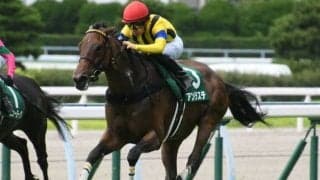 【京都金杯見どころ】アンドラステ、惜敗続きにピリオドなるか