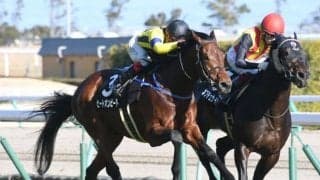 【中山金杯見どころ】ヒートオンビートが横山武史騎手とのコンビで重賞制覇に挑む