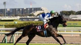 【京都金杯展望】波乱傾向にある西の開幕重賞、あの馬の大駆けを期待したい