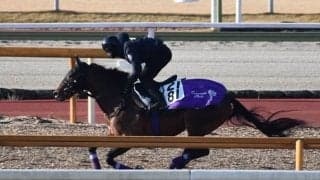 ダンテスヴューなど、昨年末の入厩情報/栗東トレセンニュース