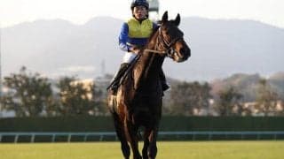 【京都金杯出走馬・騎手確定】エアロロノア＆岩田望来騎手、カイザーミノル＆横山典弘騎手など16頭