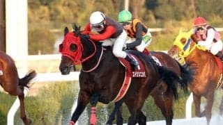 【園田・新春賞結果】エイシンニシパが人気に応えて4連覇！