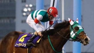 【川崎・報知オールスターカップ】勝利したノーヴァレンダの森泰斗騎手「完全復活していると言っていいと思います」