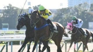 【中山金杯枠順確定】ヒートオンビートは2枠4番、トーセンスーリヤは4枠7番