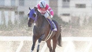 【名古屋記念結果】ナムラマホーホがエイシンエンジョイとの一騎打ちをハナ差制して重賞4勝目