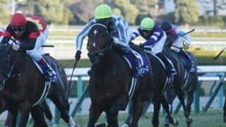 【競馬ファンが選ぶ最優秀2歳牡馬】無傷3連勝の朝日杯FS覇者ドウデュースがトップ/netkeiba大賞 中間発表