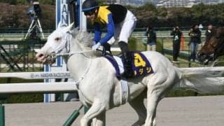 【競馬ファンが選ぶ最優秀3歳牝馬】白毛馬ソダシが大差でトップ！/netkeiba大賞 中間発表