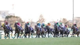 【中山金杯予想】Cコース開幕日は前が簡単には止まらない…？/万哲の馬場予報