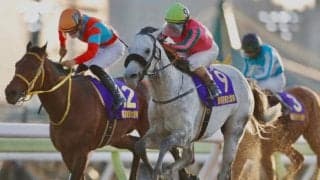 【競馬ファンが選ぶ最優秀ダート馬】東京大賞典を制したオメガパフュームが首位/netkeiba大賞 中間発表
