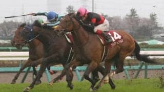 【中山金杯】出走馬の調教後の馬体重