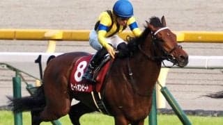 【中山金杯】横山武 ヒートオンビートは2枠4番