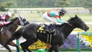 【京都金杯予想】力を秘めた素質馬に今年こそ期待をかけたい