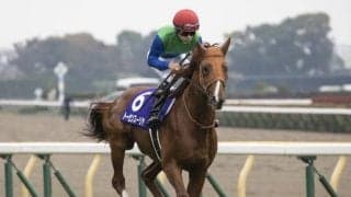 【中山金杯予想】器用さが求められるコーナー4つの2000mハンデ戦
