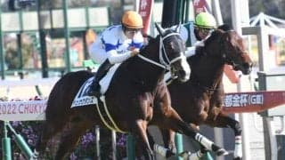 【中京5R新馬戦結果】川田将雅騎手騎乗チュウワダンスが人気に応えて初陣V