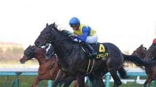 【京都金杯・馬体重】エアロロノアは506kg(0)、シュリは518kg(0)