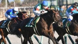 【京都金杯結果】7番人気ザダルが間を割って差し切り重賞2勝目、11番人気ダイワキャグニーが2着で波乱