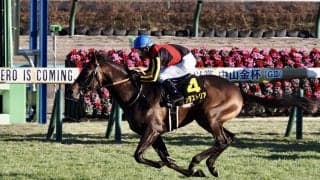 【ジュニアC】インダストリアが楽々突き抜ける