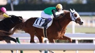 【中京7R】武豊 クリノドラゴンが2馬身差で快勝