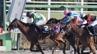 【招福S】ヴィーダが抜け出す