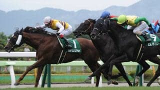 セイウンコウセイが競走馬登録抹消