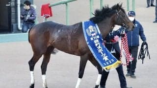 2022年最初のWIN5は190万円超え