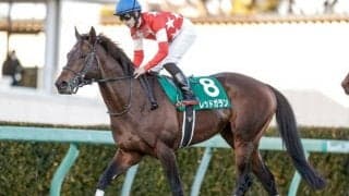 【中山金杯】売上は70億2671万9800円で昨年からおよそ1.7億円の減少