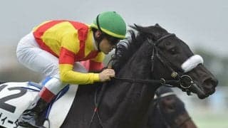 【フェアリーS見どころ】エリカヴィータのデビュー2連勝なるか