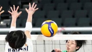 春高バレー　女子は前回準Ｖ大阪国際滝井が３回戦へ、八王子実践も好発進