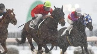 【川崎・招福オープン結果】降雪の中、山崎誠士騎手騎乗のメンタイマヨが勝利