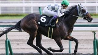 ロンが屈腱炎を発症