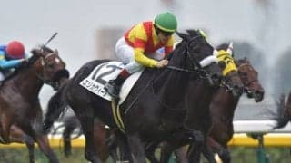 【フェアリーS予想オッズ】エリカヴィータが予想1番人気