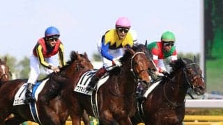 ワグネリアンの死亡