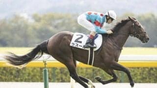 【シンザン記念枠順確定】ラスールは2枠2番、レッドベルアームは5枠9番