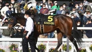 【次走】朝日杯FS3着ダノンスコーピオンは共同通信杯へ