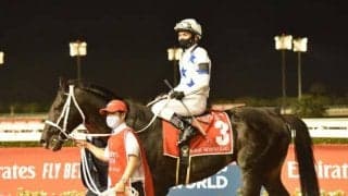 チュウワウィザードはドバイWCが目標、国際情勢を鑑みてサウジCか国内からの転戦を視野に