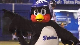 つば九郎、ヤクルト残留　倍増近い昇給も「おかねぢゃない!!　きもちです!!」