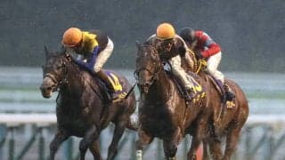 キセキが競走馬登録抹消