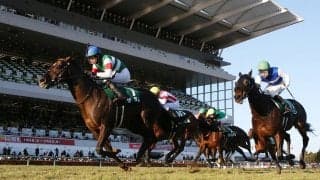 【京都金杯】ザダルが重賞2勝目