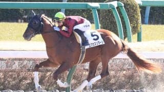 【新馬/中山4R】エクセスリターンがデビューV