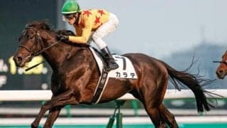 【本日の注目ポイント】3日間開催初日 メインはリステッドのニューイヤーSとすばるS