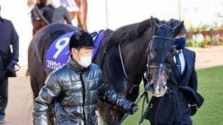 【日経新春杯想定】有馬記念4着のステラヴェローチェ、昨年ダービー以来の出走となるヨーホーレイクなど