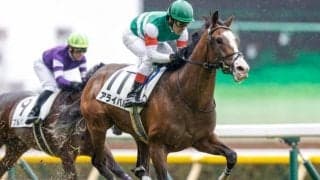 【京成杯想定】新潟2歳S2着のアライバル、桜花賞馬ジュエラーの仔ヴェールランスなど16頭