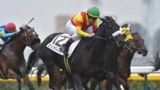 【フェアリーS枠順確定】エリカヴィータは5枠9番、スクルトゥーラは3枠5番