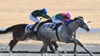 【中京4R新馬戦結果】カネトシブルームが押し切りV、富田暁騎手は通算100勝達成