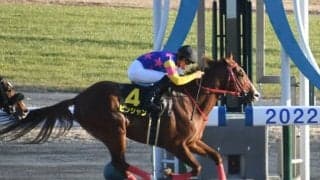 【すばるS結果】帰国初戦のピンシャンが逃げ切りオープン2勝目