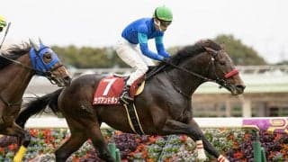 【JRA】障害重賞2勝のラヴアンドポップが引退、乗馬となる予定