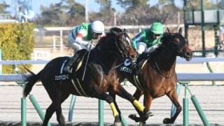 【シンザン記念予想】位置取りの器用さと瞬発力が問われる/万哲の馬場予報