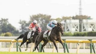 【WIN5予想】シンザン記念は生産者や実績がポイント